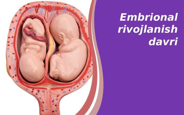 Embrional rivojlanish davri
