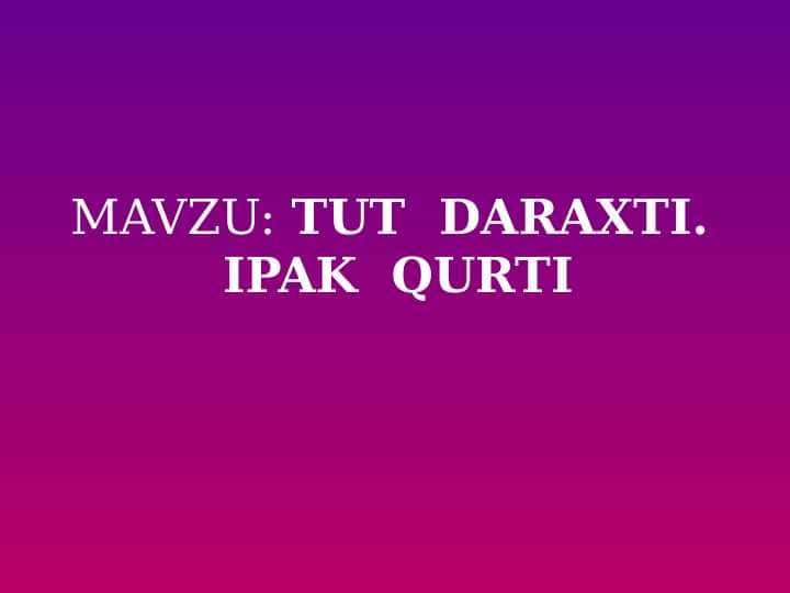 TUT DARAXTI. IPAK QURTI