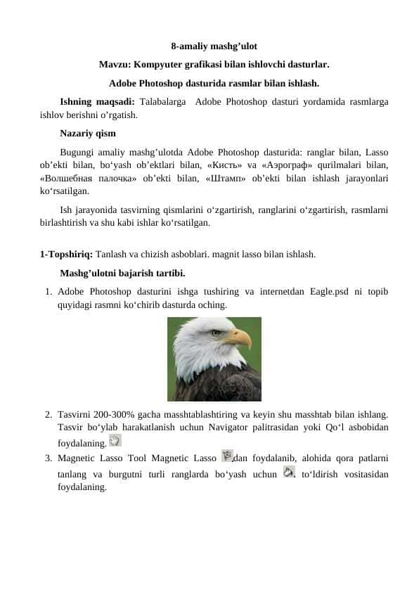 Kompyuter grafikasi bilan ishlovchi dasturlar. Adobe Photoshop dasturida rasmlar bilan ishlash.