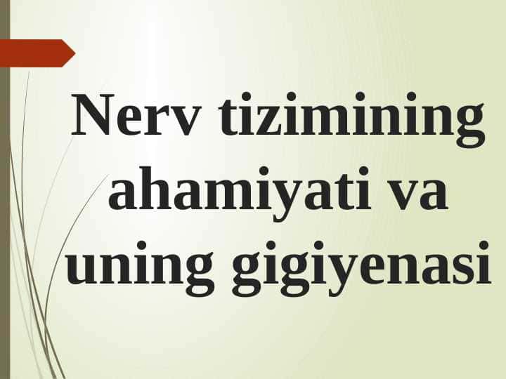 Nerv tizimining ahamiyati va uning gigiyenasi
