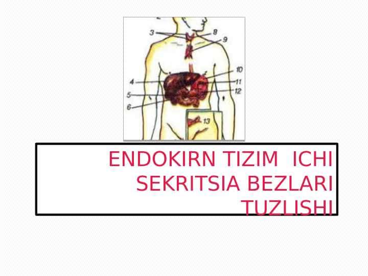 ENDOKIRN TIZIM ICHI SEKRITSIA BEZLARI TUZLISHI
