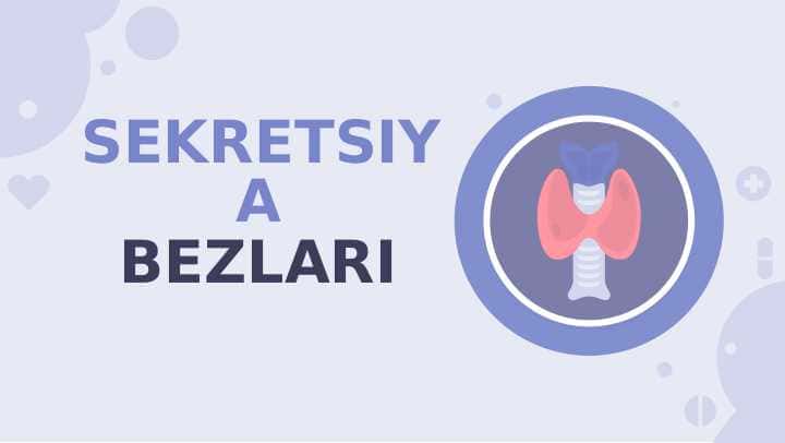 SEKRETSIYA BEZLARI