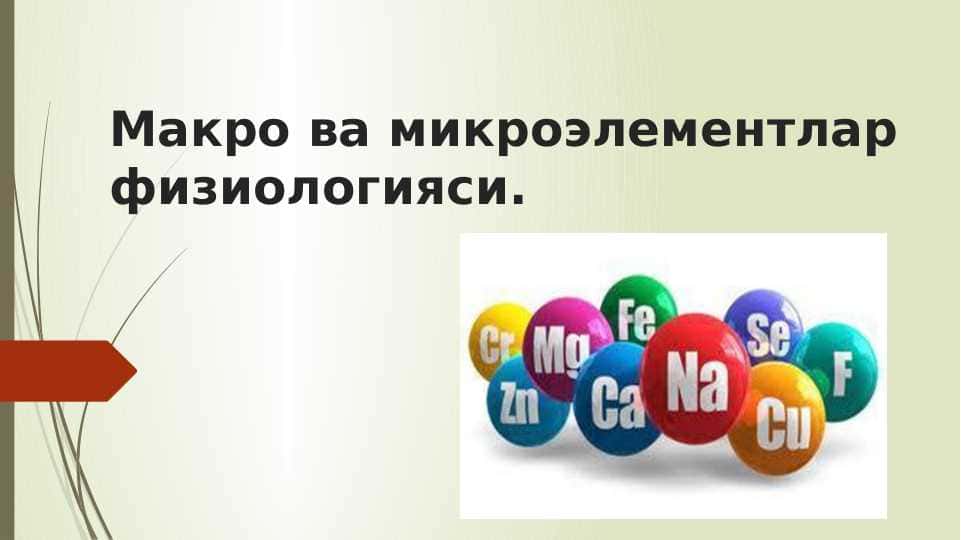 Макро ва микроэлементлар физиологияси. Makroelementlar va mikroelementlar fiziologiyasi.