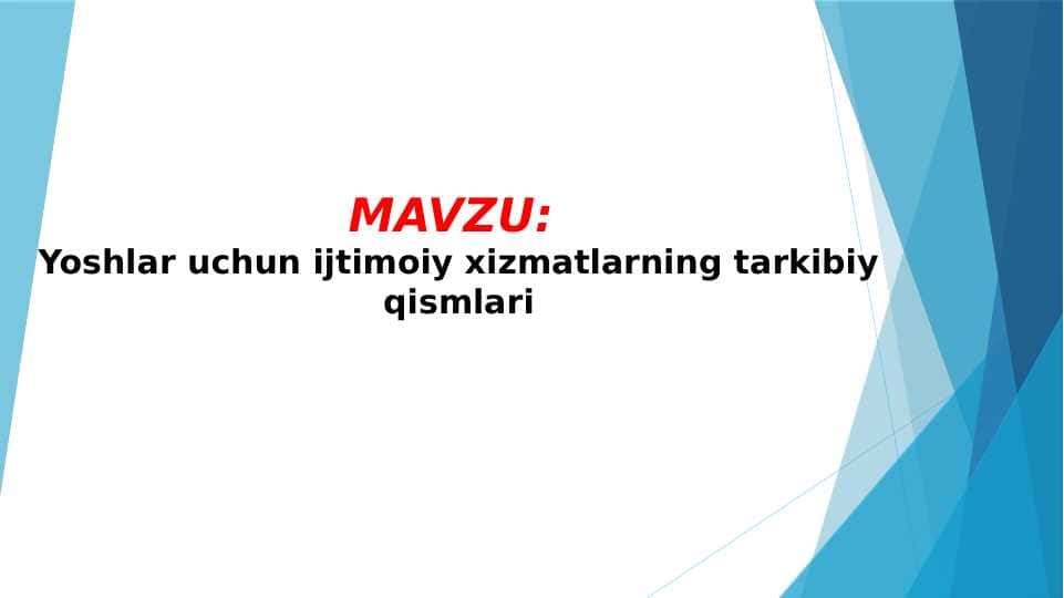 Yoshlar uchun ijtimoiy xizmatlarning tarkibiy qismlari