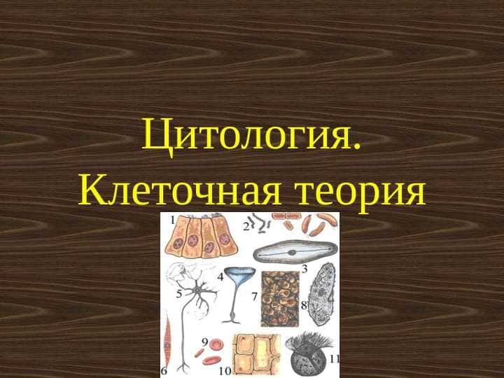 Цитология. Клеточная теория