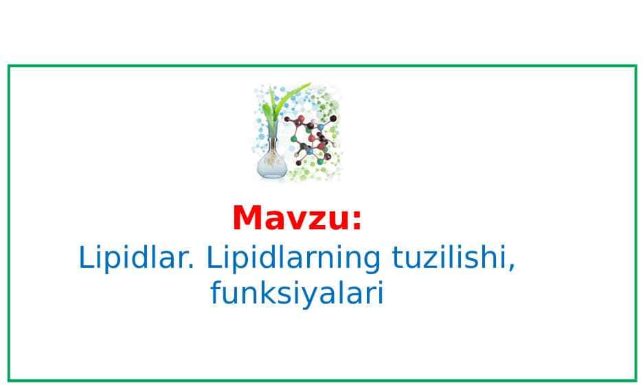 Lipidlar. Lipidlarning tuzilishi, funksiyalari