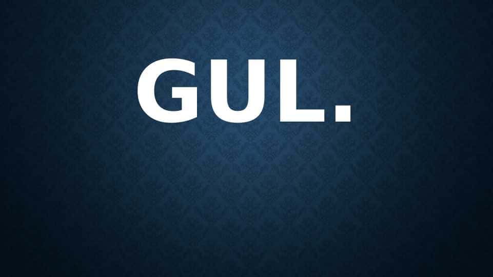 gul slaydg