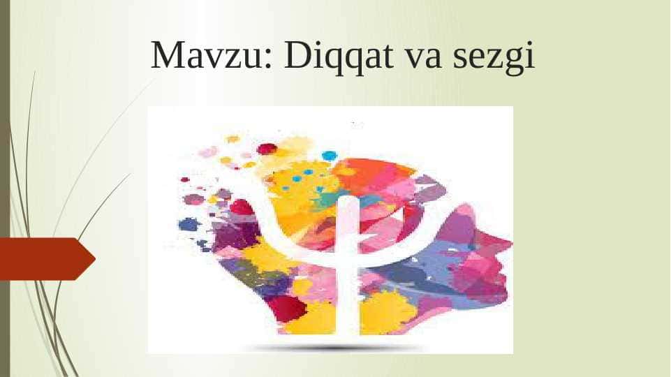 Diqqat va sezgi