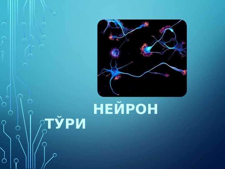 Нейрон тўри