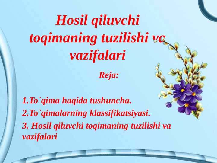 Hosil qiluvchi toqimaning tuzilishi va vazifalari