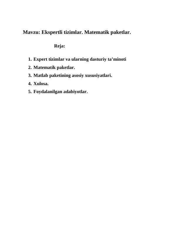 Ekspertli tizimlar. Matematik paketlar