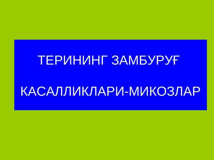 Terining zamburug` kasalliklari . Terini zamburug`li kasallikalari