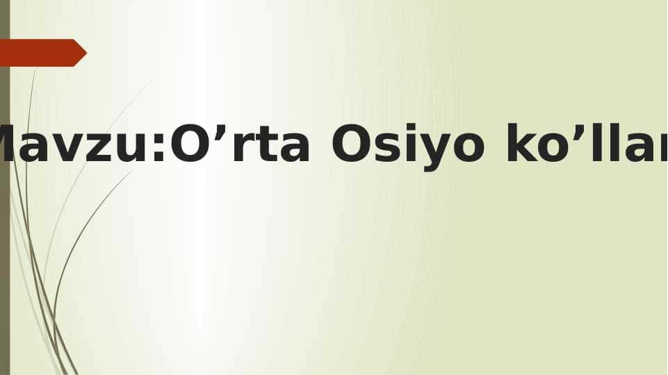 O’rta Osiyo ko’llari