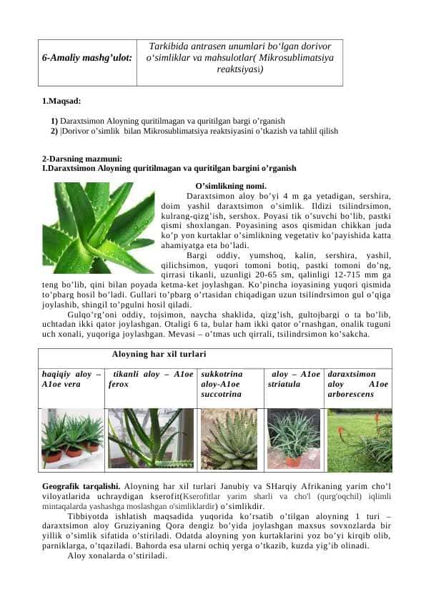 Farmakognoziya fanidan ochiq dars ishlanmasi