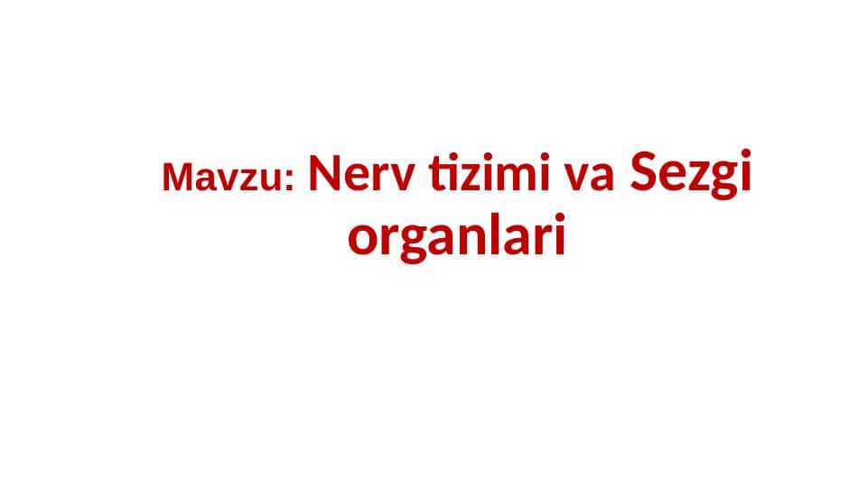 Nerv tizimi va Sezgi organlari