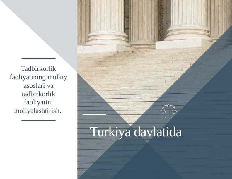 Turkiya davlatida Tadbirkorlik faoliyatining mulkiy asoslari va tadbirkorlik faoliyatini moliyalashtirish.