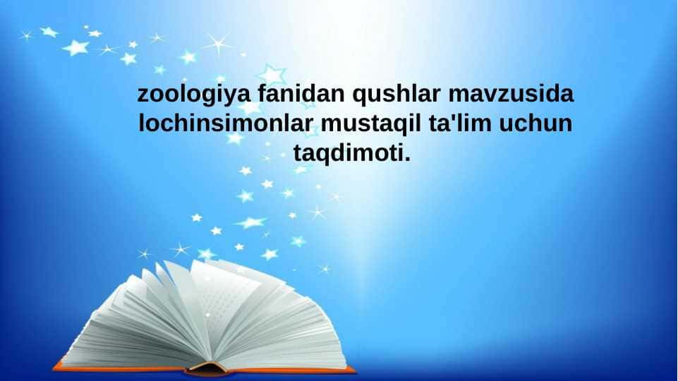 zoologiya lochinsimonlar turlari va ularning oilasi va tarqalish hududlari pptx