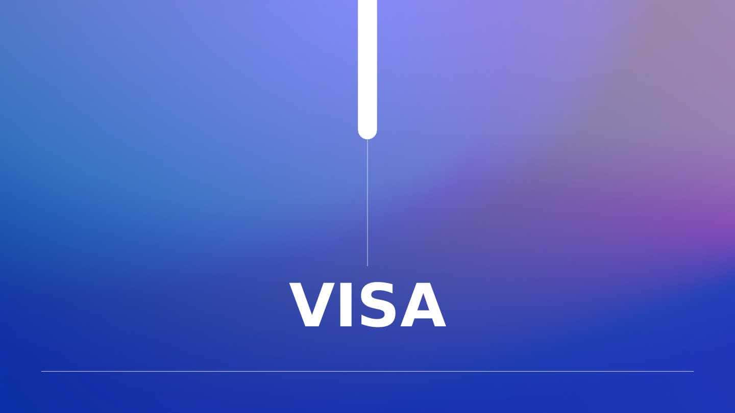 Visa brendi