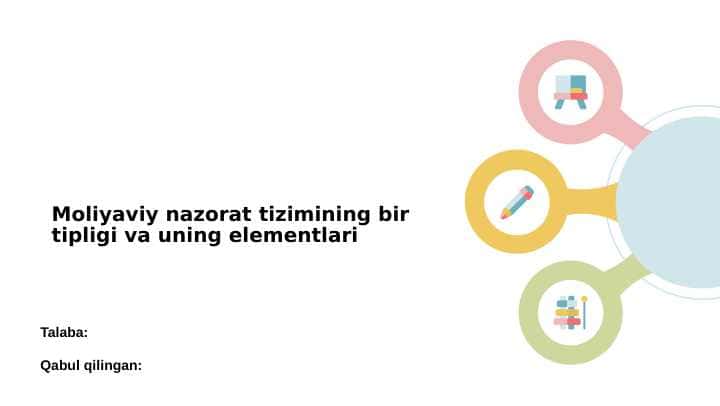 Moliyaviy nazorat tizimining bir tipligi va uning elementlari