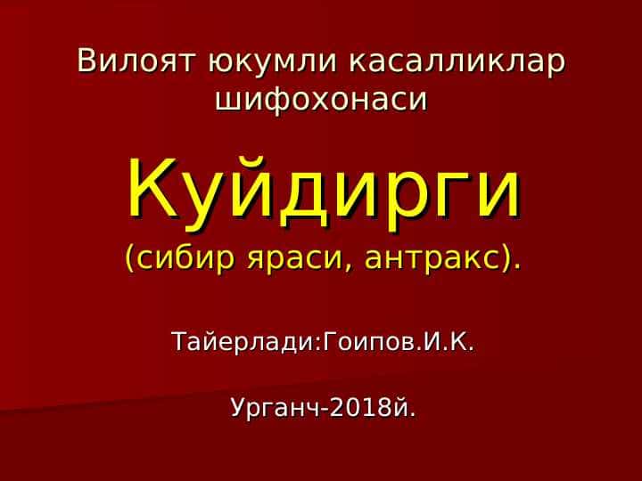Sibir yarasi(kuydirgi)
