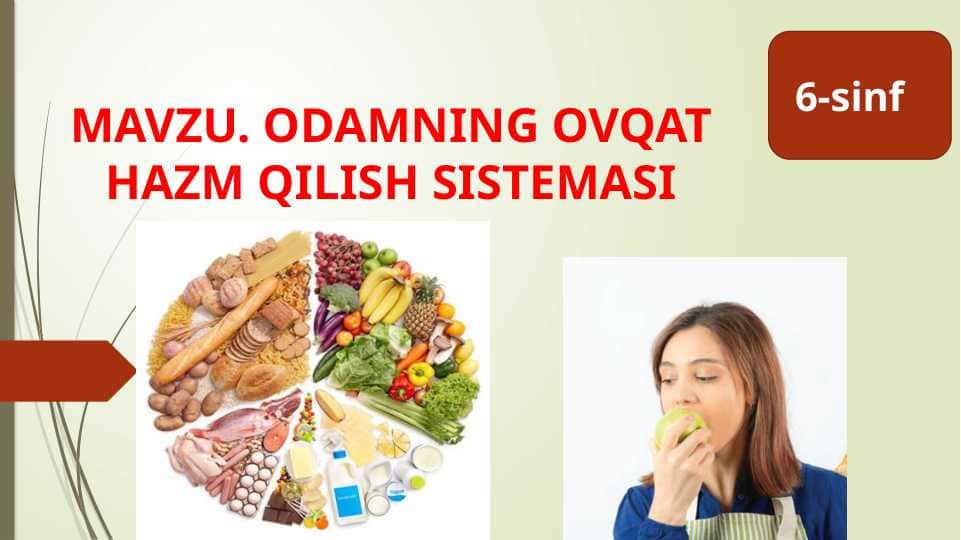 ODAMNING OVQAT HAZM QILISH SISTEMASI