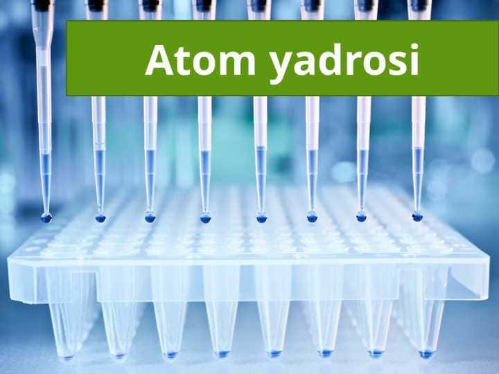 Atom yadrosi