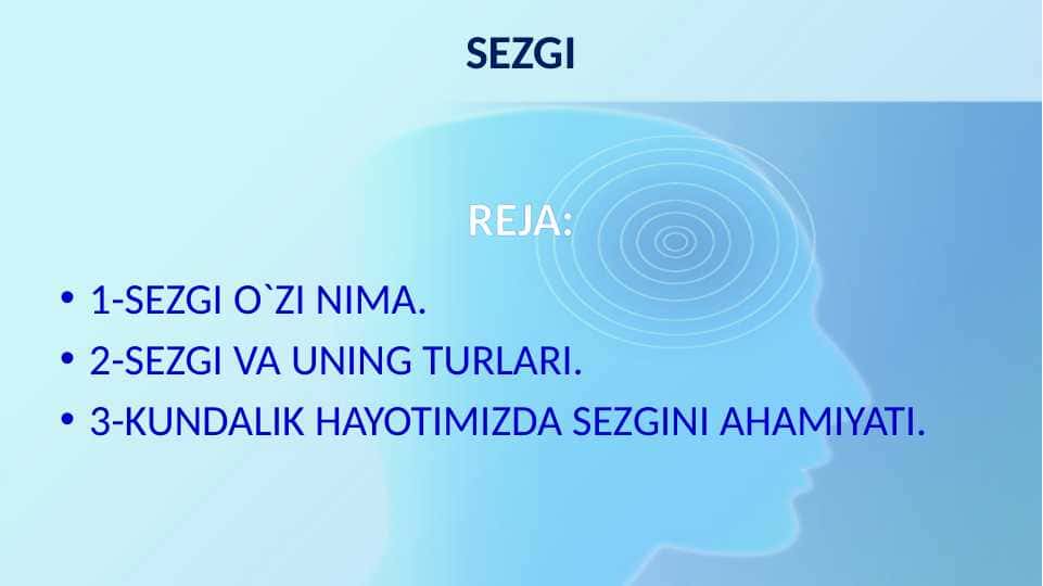 Sezgi