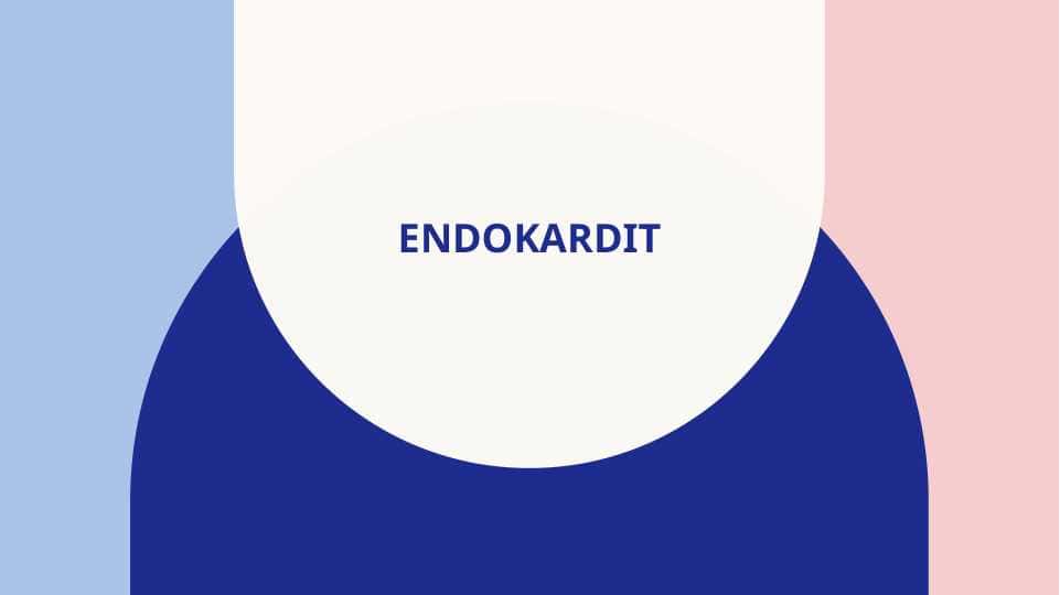 Endokardit