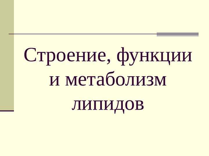 Строение функции и метоболизим липидов