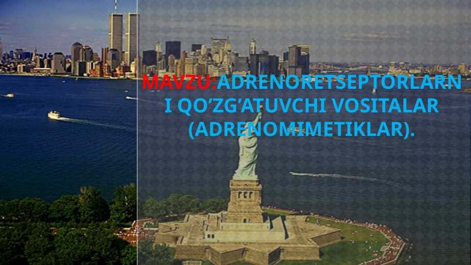 ADRENORETSEPTORLARNI QO’ZG’ATUVCHI VOSITALAR (ADRENOMIMETIKLAR).
