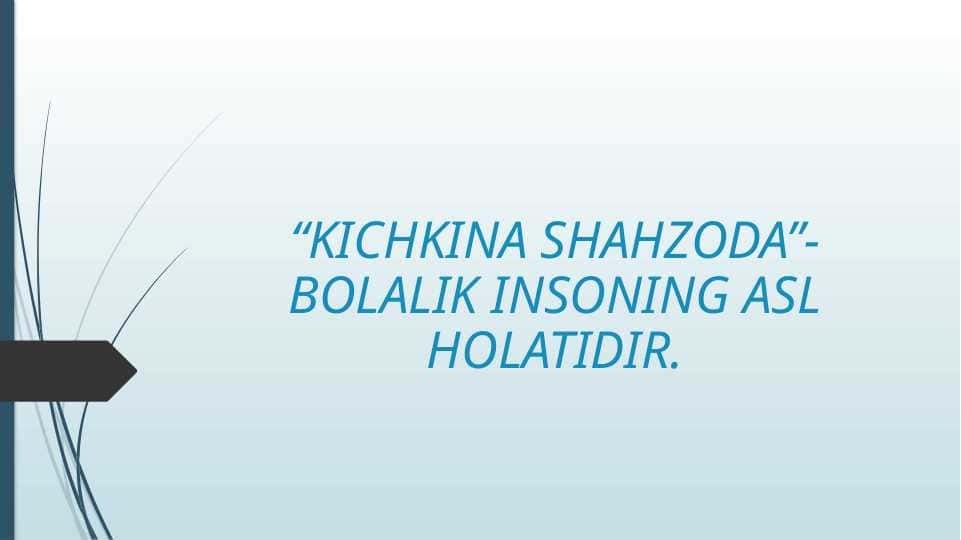 Kichkina shaxzoda