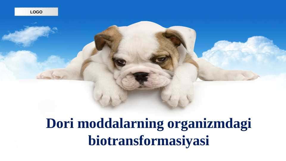 Dori moddalarning organizmdagi biotransformasiyasi