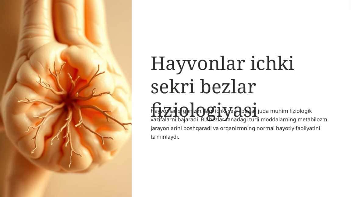 Hayvonlar ichki sekri bezlar fiziologiyasi
