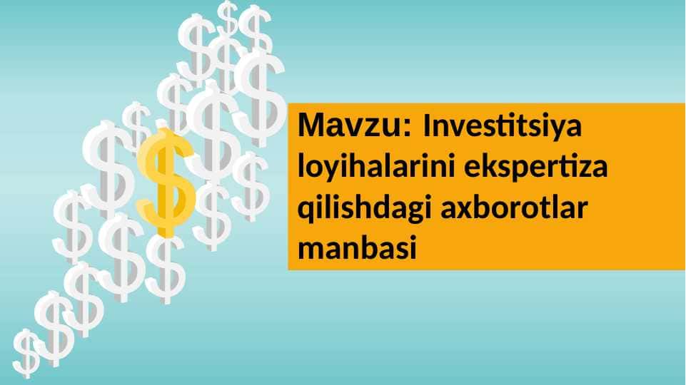 Investitsiya loyihalarini ekspertiza qilish
