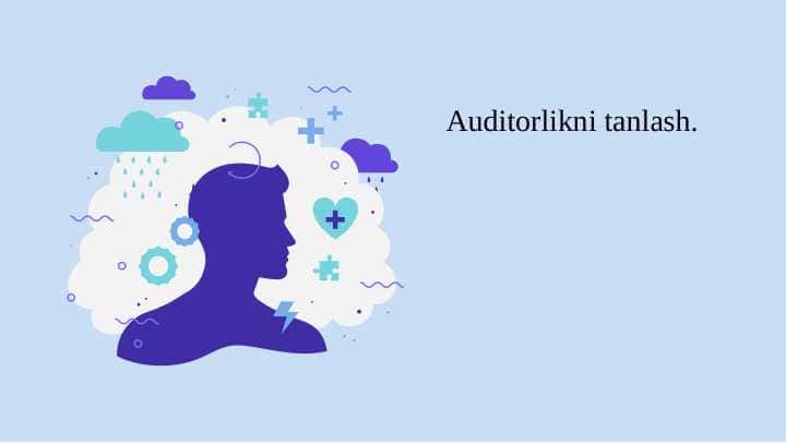 Auditorlikni tanlash PPTX