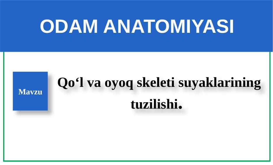 Qo‘l va oyoq skeleti suyaklarining tuzilishi.