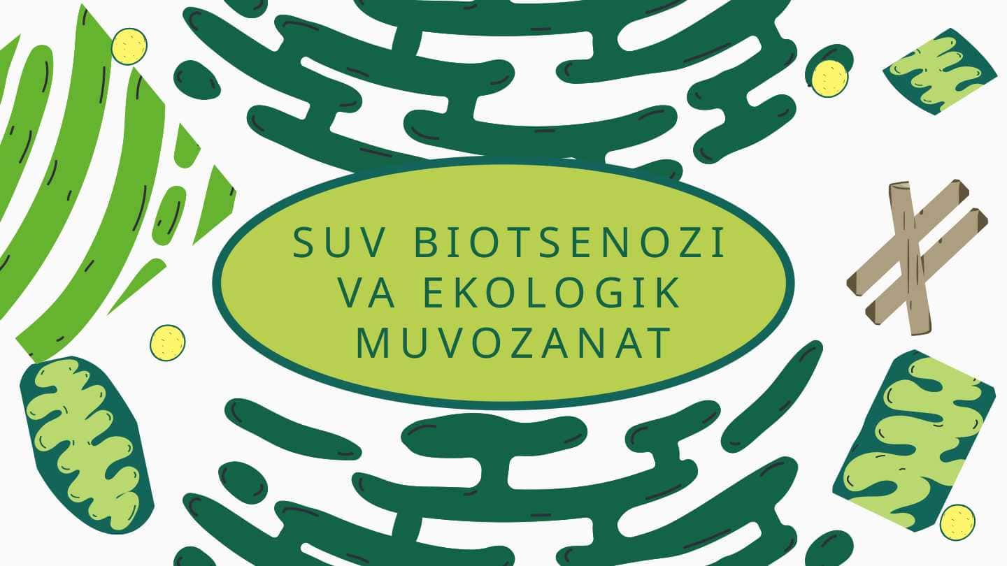 SUV BIOTSENOZI VA EKOLOGIK MUVOZANAT