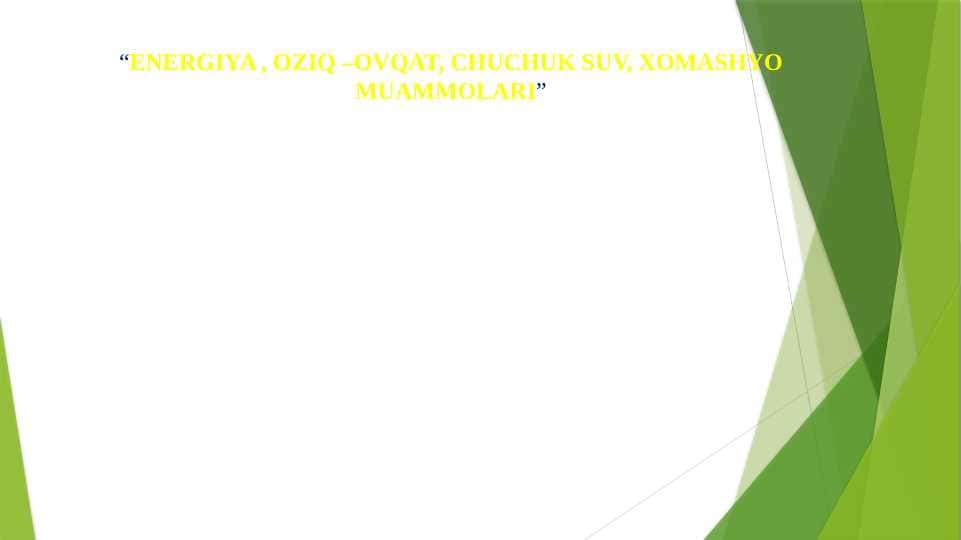 “Energiya, oziq ovqat, chuchuk suv va xomashyo muammolari”