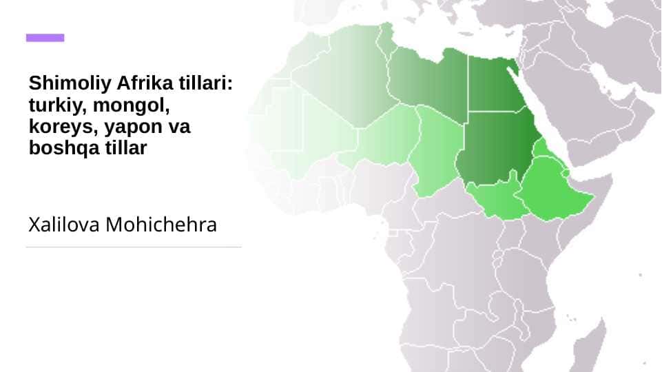 Shimoliy Afrika tillari: turkiy, mongol, koreys, yapon va boshqa tillar ppth