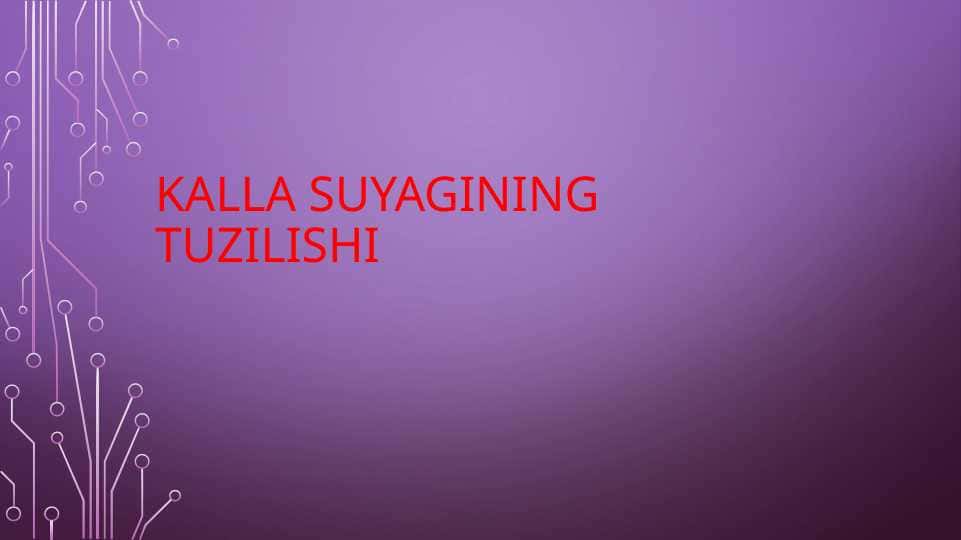 Kalla suyagining tuzilishi
