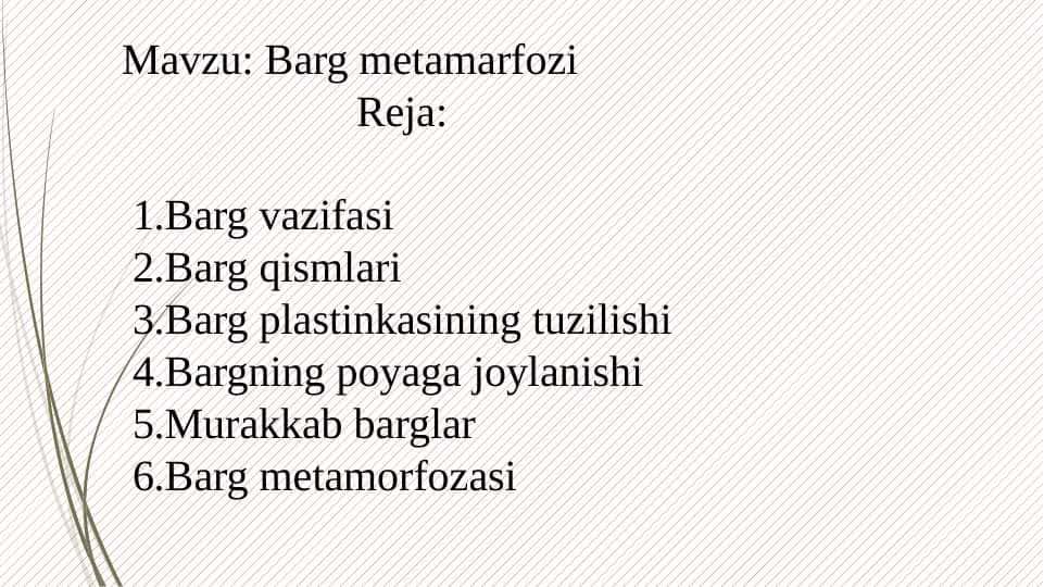 Barg metamarfozi