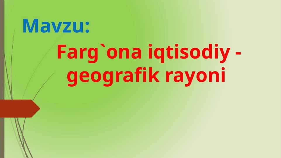 Farg’ona iqtisodiy geografik rayoni
