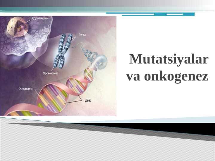 Mutatsiyalar va onkogenez