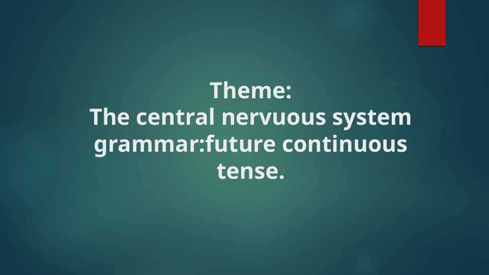 The central nervuous system grammar future continuous tense
