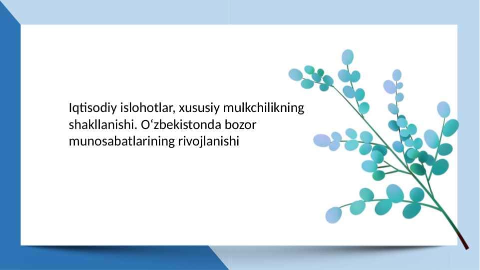Iqtisodiy islohotlar, xususiy mulkchilikning shakllanishi. Oʻzbekistonda bozor munosabatlarining rivojlanishi