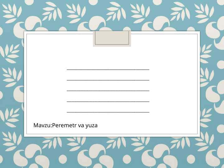 peremetr va yuza