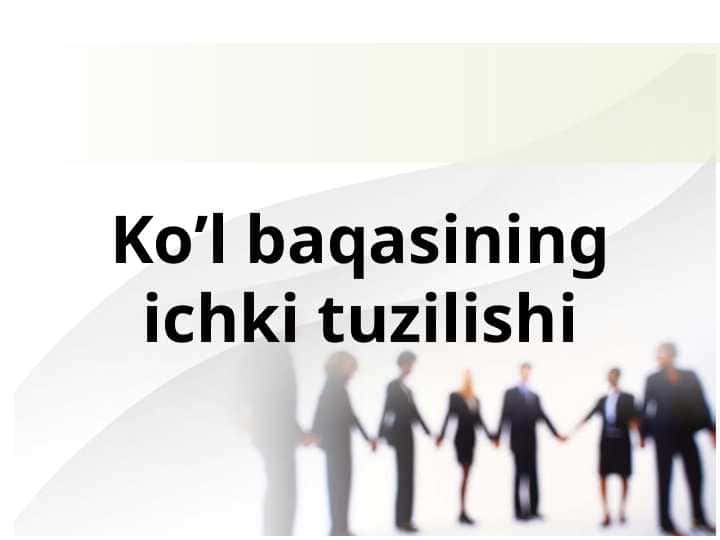 Ko’l baqasining ichki tuzilishi