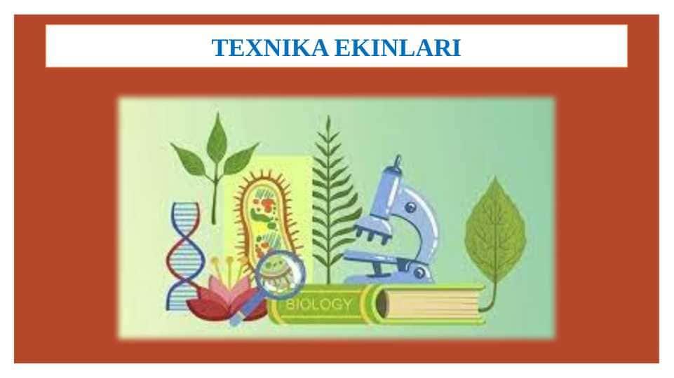 Texnika ekinlari
