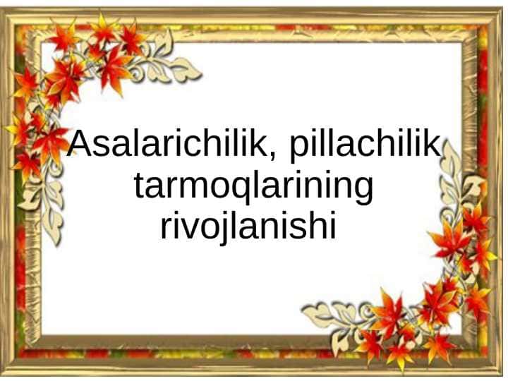 Asalarichilik, pillachilik tarmoqlarining rivojlanishi
