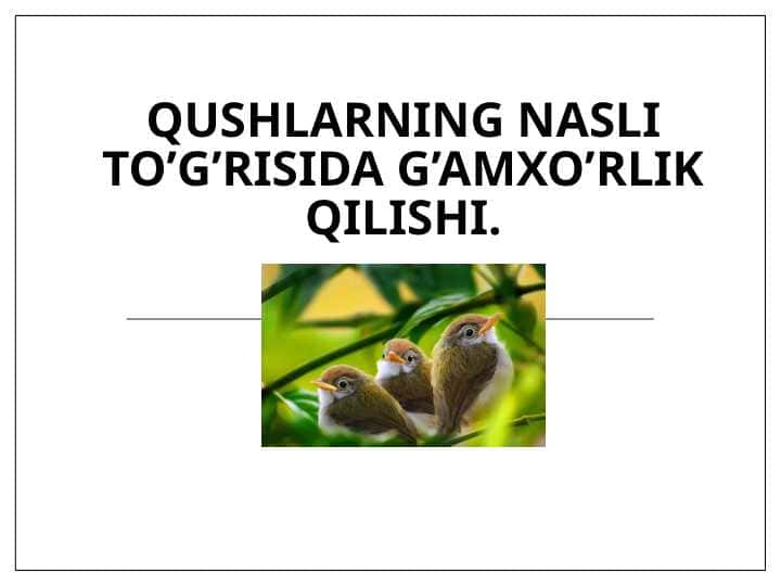 Qushlarning nasli to’g’risida g’amxo’rlik qilishi